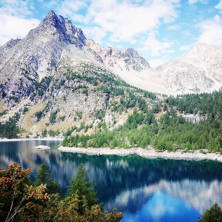 B&B Chalet Il Picchio Springwood Εξωτερικό φωτογραφία