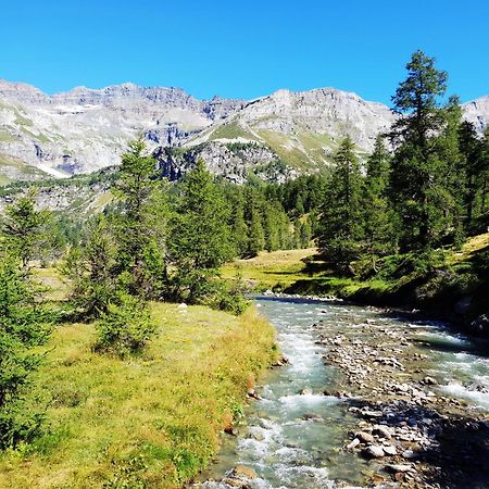 B&B Chalet Il Picchio Springwood Εξωτερικό φωτογραφία