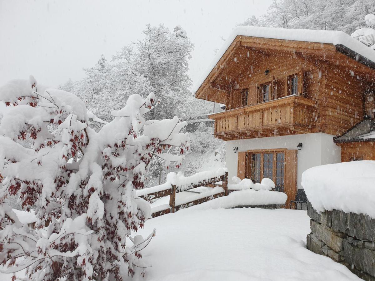 B&B Chalet Il Picchio Springwood Εξωτερικό φωτογραφία